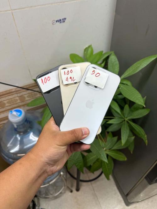 1787310005745407.jpg