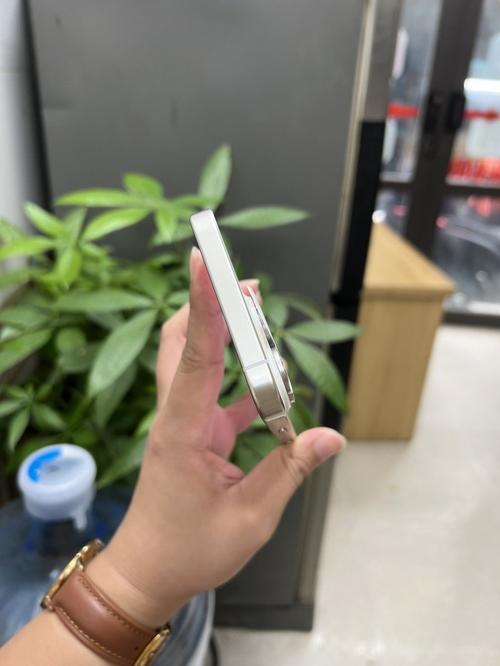 1787379006824849.jpg