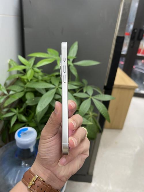 1787379009279533.jpg