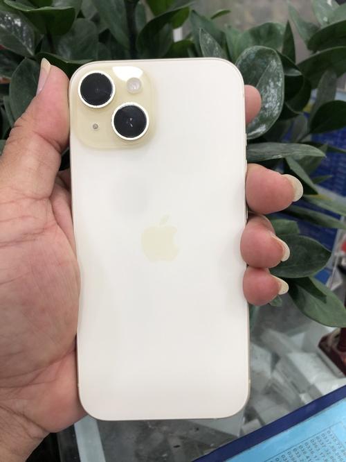1787385309541479.jpg