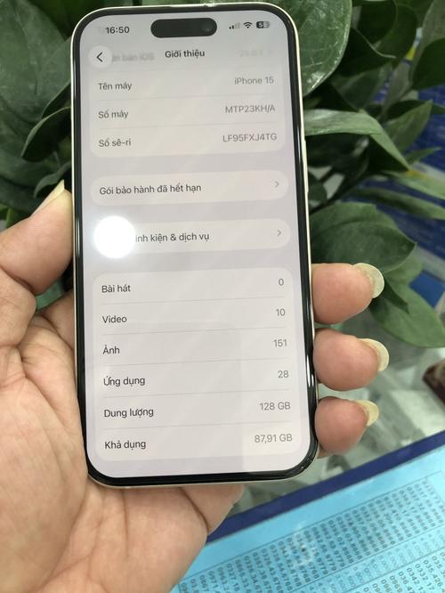 1787385311933092.jpg