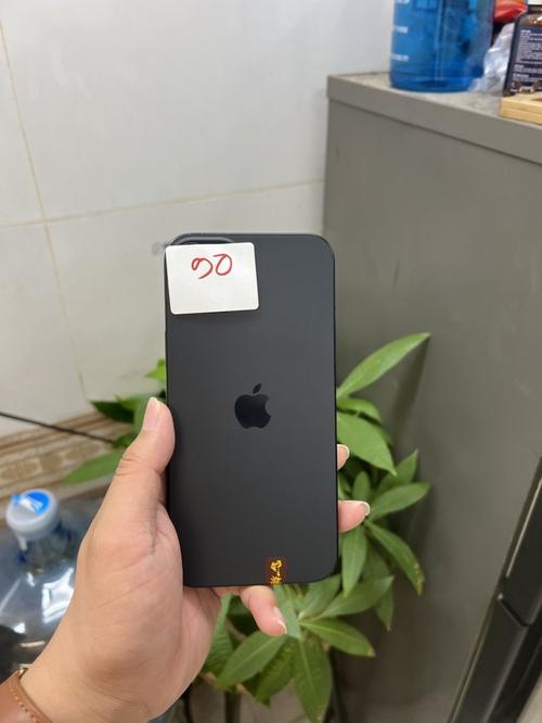 1787390107802374.jpg