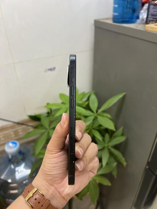 1787390110177520.jpg