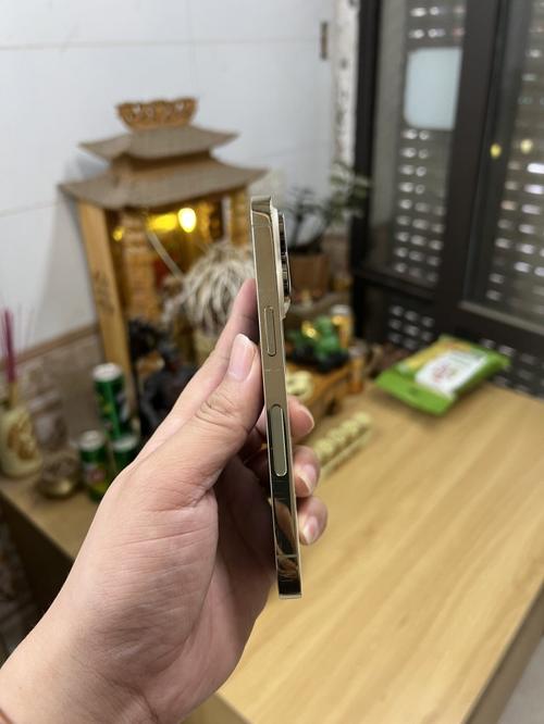 1787473208867267.jpg