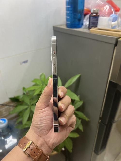 1787496305914902.jpg