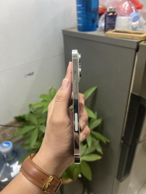 1787496308338376.jpg