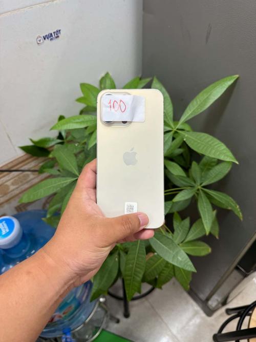 1787728806845245.jpg