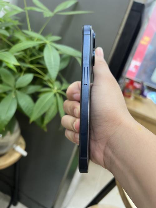 1787968504242035.jpg