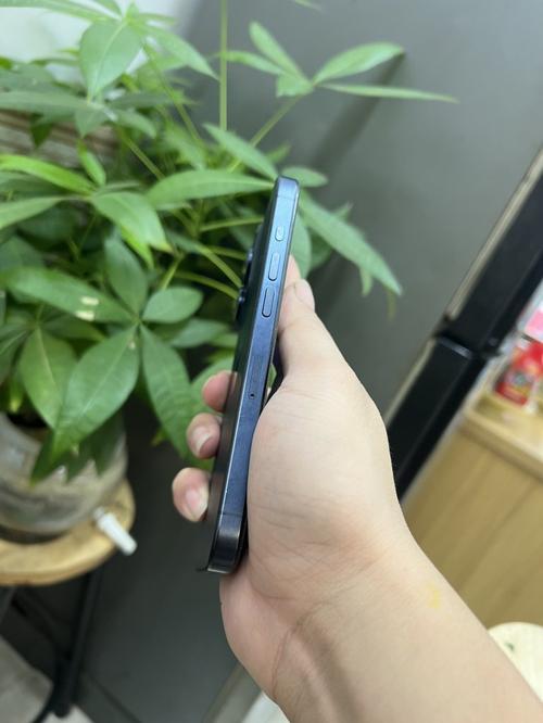 1787968505516357.jpg