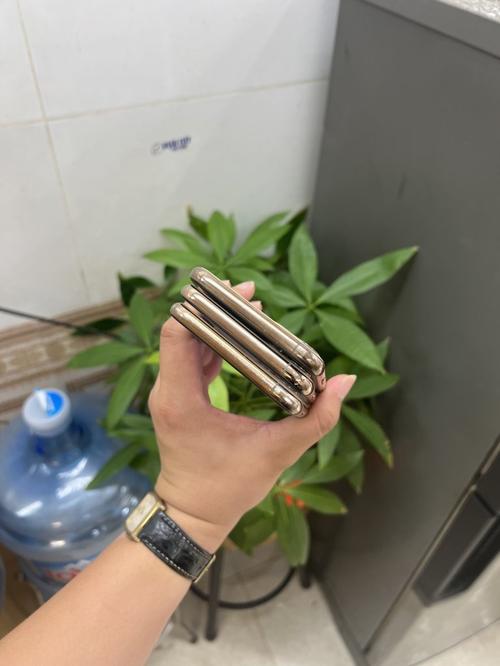 1788503107468130.jpg
