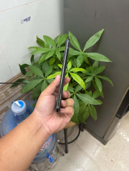 1788515406782452.jpg