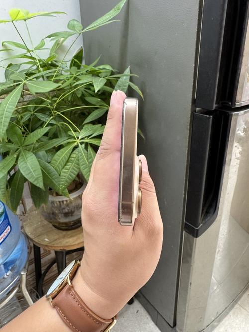 1788583221826616.jpg