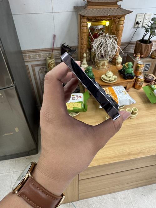 1788937817623967.jpg