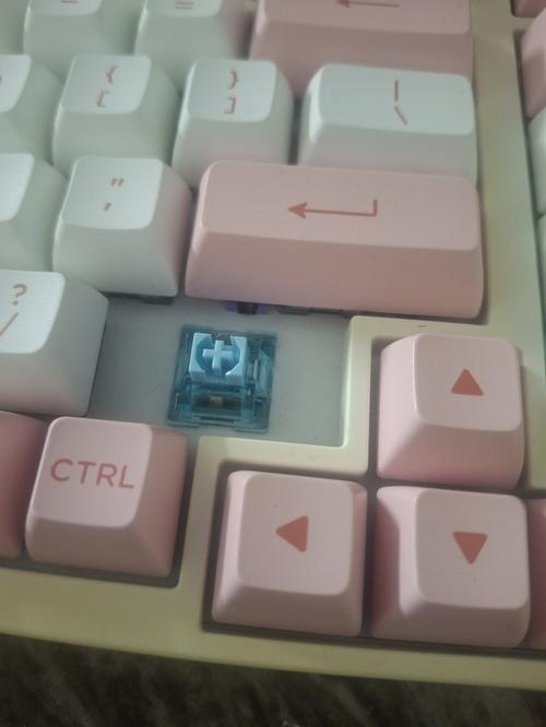 1789265713757029.jpg