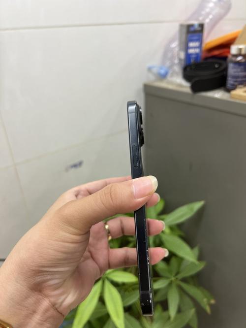 1789453811042434.jpg