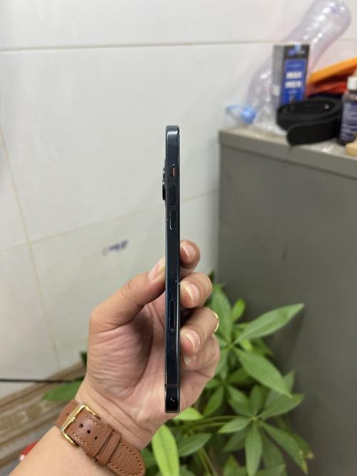 1789453812324007.jpg