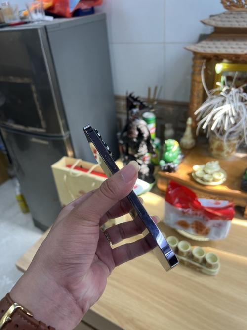 1790408107880737.jpg